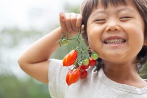 ミニトマトを収穫して笑顔の子ども